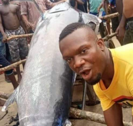 Villagers In Trouble as it’s revealed the ‘Sword Fish’ caught and eaten in Rivers is actually a Blue Marlin Fish that costs up to  million.