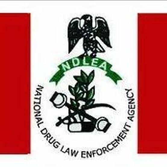 NDLEA Arrests Two Suspects With Illicit Drugs at Abuja Airport