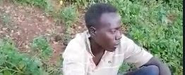 Man Caught Sleeping With Cow at Night (Photo)