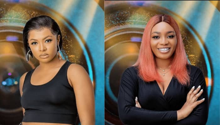 BBNaija S6: Liquorose and Beatrice Clash (Video)