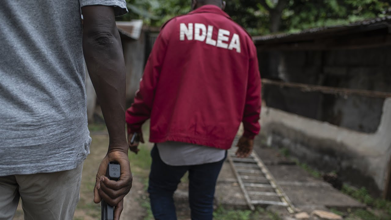 NDLEA arrests 90 suspected drug dealers in Edo