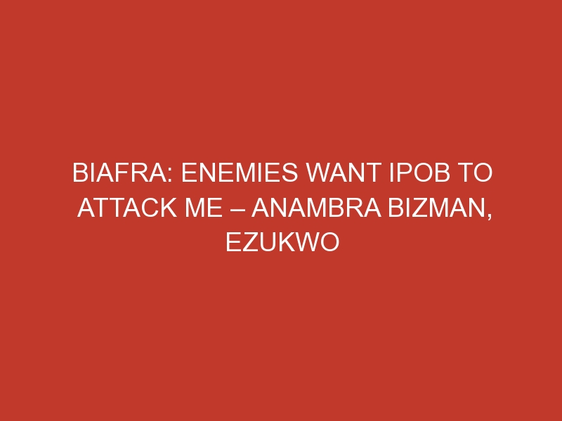 Biafra: Enemies want IPOB to attack me – Anambra bizman, Ezukwo