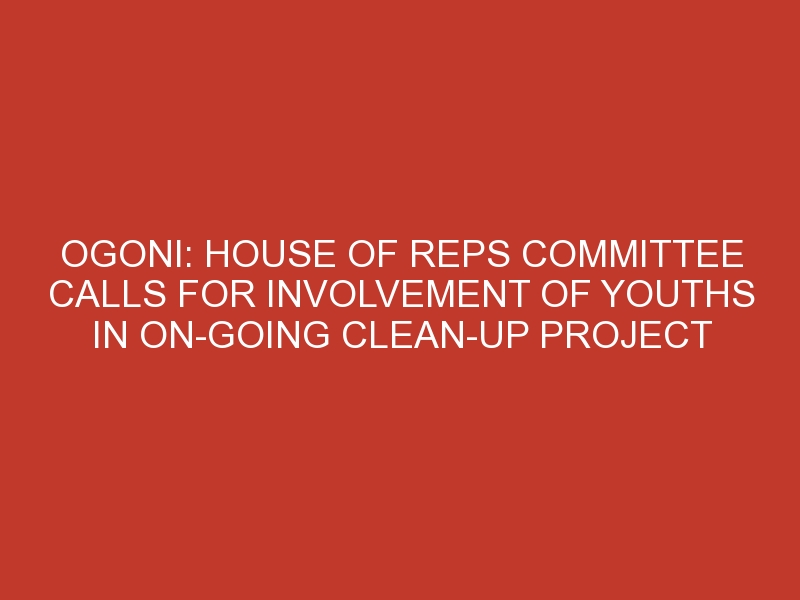 Ogoni: House of Reps Committee calls for involvement of youths in on-going clean-up project