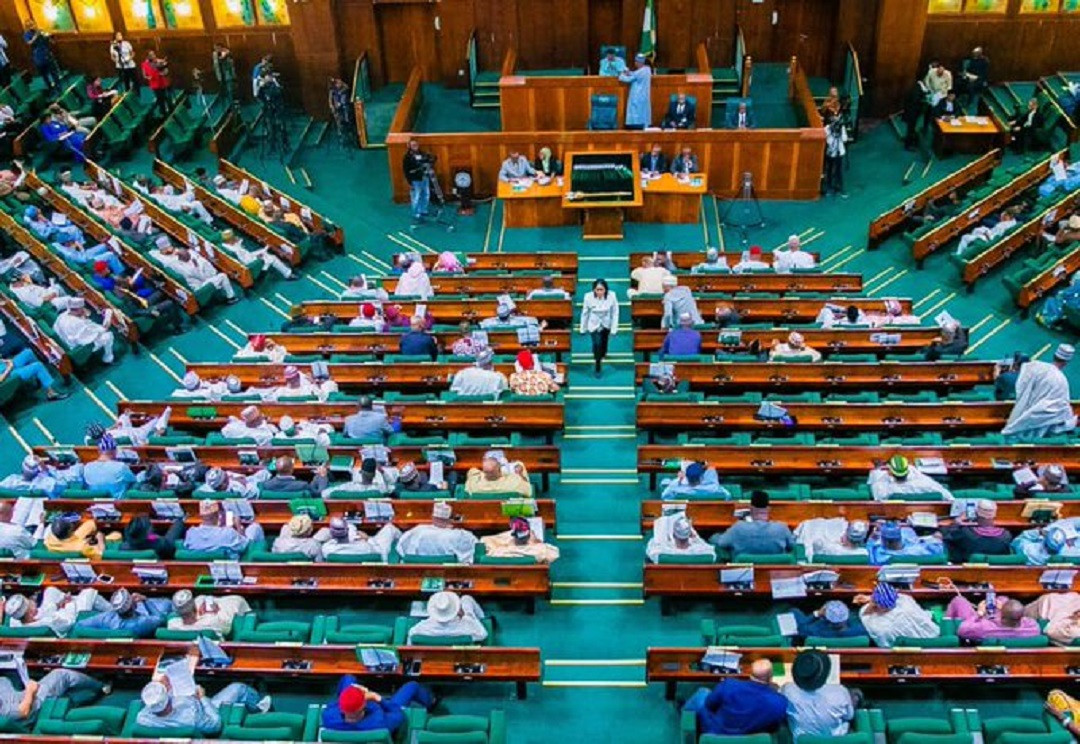 Senate Approves Legislation for Regulation of Cattle Ranching Industry in Nigeria