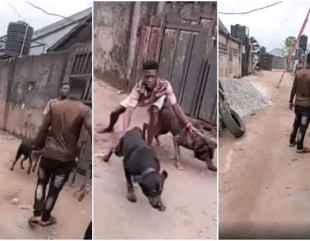 Man uses angry dogs to chase away NEPA officials who came to disconnect his light. (VIDEO)