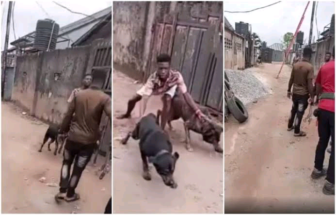 Man uses angry dogs to chase away NEPA officials who came to disconnect his light. (VIDEO)