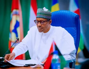 President Buhari Vows No one Will Be Allowed To Destabilize Nigeria