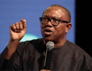 Four years is all I need to transform Nigeria — Peter Obi