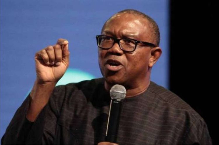 Four years is all I need to transform Nigeria — Peter Obi