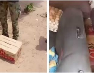 Nigerian Soldiers Intercept Vehicle Allegedly Taking Money, Other Supplies To Bandits (Video)