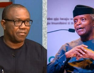 Only Peter Obi Can Face Osinbajo – Nigerians Debate Buhari’s Successor