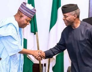 Shettima apologizes to Osinbajo for saying that nice people like him should be selling popcorn and ice cream