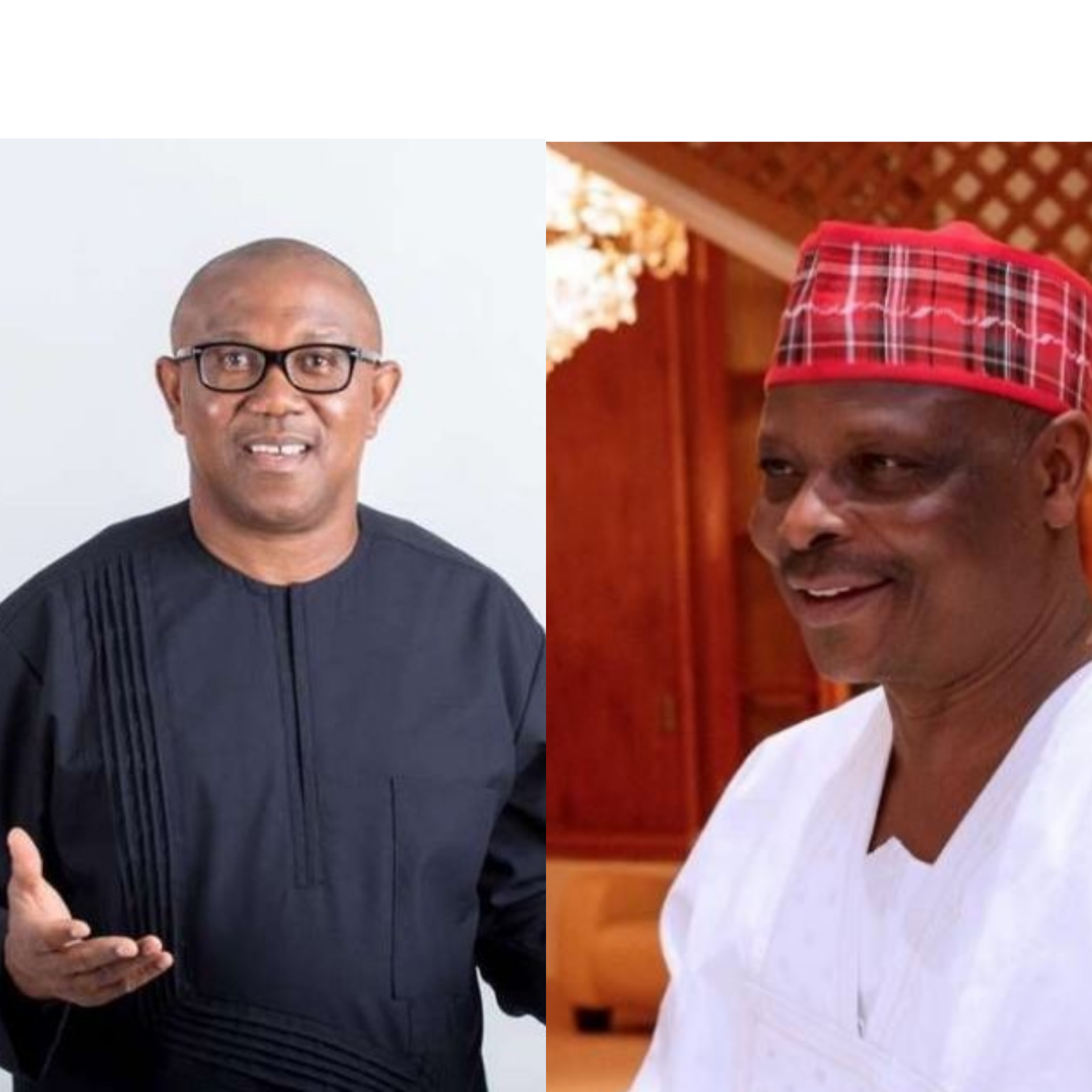 Intriguing Importance of a Peter Obi and Kwankwaso Merger