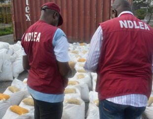 Drugs Worth N6 Billion Found By NDLEA In Lagos