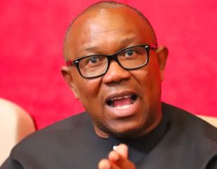 Peter Obi’s 61st celebrated by Reno, Peter Okoye, Atiku, and others