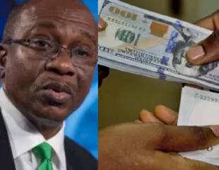 Nigerians buying dollars with naira will be arrested, CBN vows