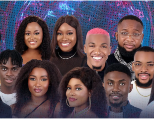 Meet the Big Brother Naija Season 7 Housemates (DAY 1)