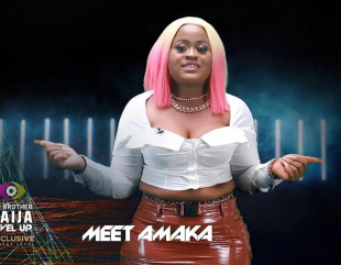 Big Brother Naija 2022: Chiamaka Crystal Mbah “Amaka”s  Biography