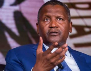 Dangote rises on Bloomberg’s 2022 list of the world’s top 100 billionaires (Full List)