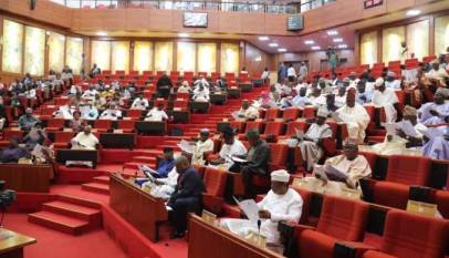 Senators storm out of chambers over insecurity issues