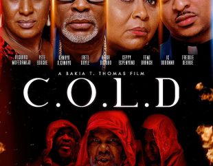 Nollywood’s C.O.L.D To Hit Cinemas August 12 Nationwide Featuring Pete Edochie, RMD