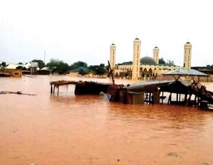 Tragedy as Flood Destroys 1000 Houses and Kills Two In Kebbi