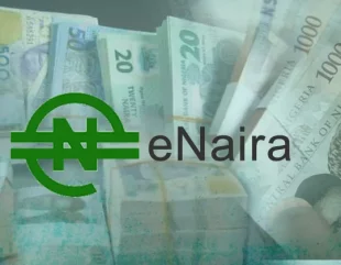 Nigerians To Access eNaira Through USSD – CBN