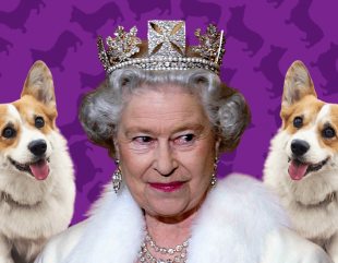 Queen’s corgis will feel the loss of Her Majesty and may even display signs of depression after her death, dog expert says