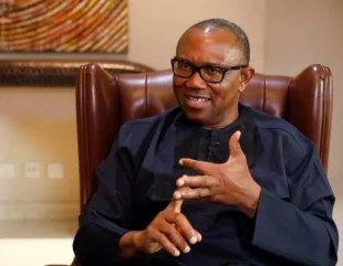 <strong>Alleged Assassination: We Will Hold APC, Keyamo Responsible If Anything Happens To Peter Obi – Elders To Buhari</strong>