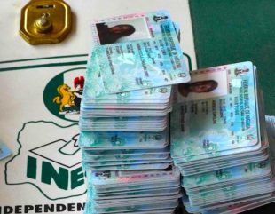 Obi Group Demands Explanation From INEC Over PVCs Destroyed in Lagos and Rivers