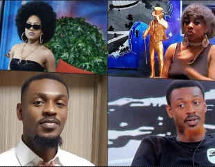 #BBNaija: Reactions trail new look of Adekunle and Phyna (Video)