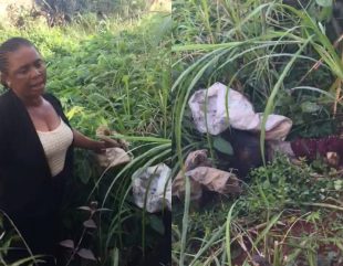 A woman flogs her maid to death and then abandons the body in a bush in Anambra (graphic video)