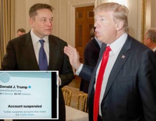 Elon Musk to welcome Donald Trump back on Twitter after taking over as CEO