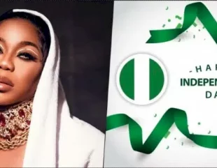 Toyin Lawani slammed over Nigeria’s Independence Day outfit