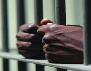 Trader sentenced to two years imprisonment for stealing broiler chickens