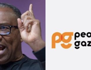 Peoples Gazette Suspends Reporter Responsible For the Alleged Fake Peter Obi Audio