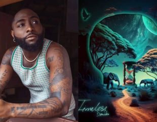 People Have Always Doubted My Album, I’m Happy It Was Accepted – Davido