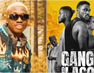 It took me months to grasp my role in ‘Gangs of Lagos’ – Zlatan Ibile