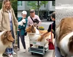 Japanese man reportedly spent k to transform himself into a dog (Video)