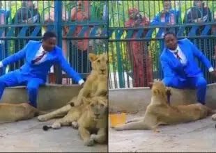 Pastor Invites Church Member to Watch Him in Lions’ Den, Shocking Events Unfold in Video