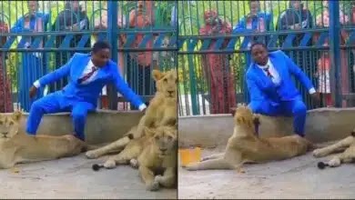 Pastor Invites Church Member to Watch Him in Lions’ Den, Shocking Events Unfold in Video