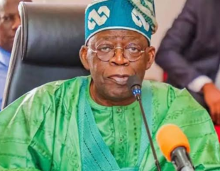 Tinubu Appoints Two Fresh Ministers
