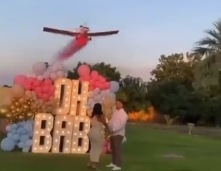 Pilot dies after his plane crashed during a gender reveal stunt in front of cheering guests (video)