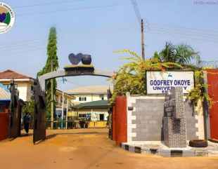 300-level student emerges Godfrey Okoye Varsity one-day VC after getting perfect CGPA of 5.0