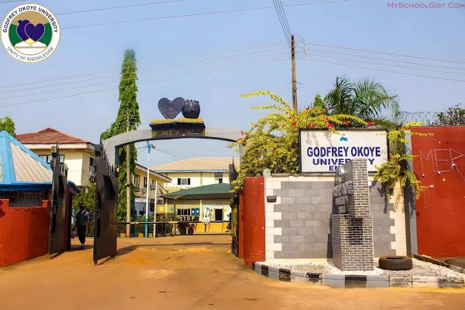 300-level student emerges Godfrey Okoye Varsity one-day VC after getting perfect CGPA of 5.0