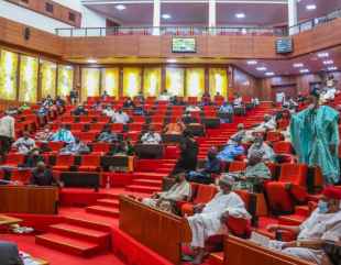 Senate Raises 2024 Budget By N1.2tn