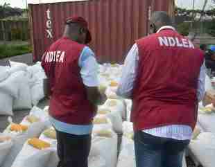 NDLEA Bursts “Skuchies” Factory In Ibadan