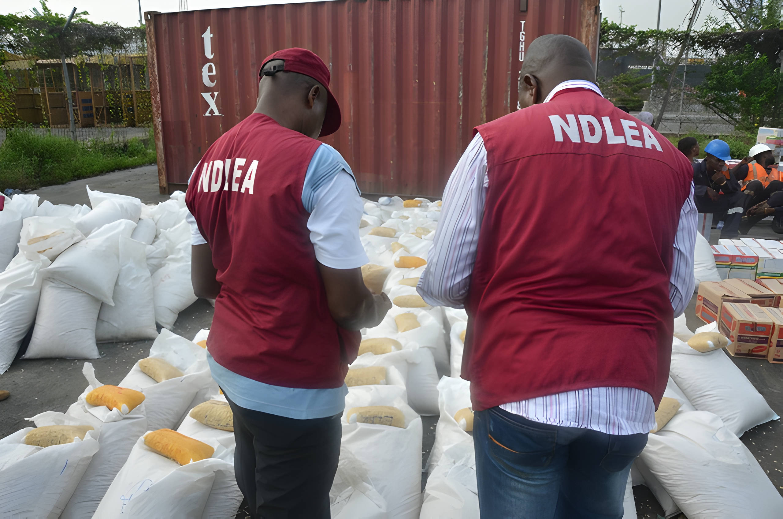 NDLEA Intercepts Large Consignment Of Canadian loud, UK, Italy-Bound Opioids In Lagos (Photos)