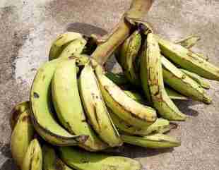 Pregnant woman stabs woman to death over bunch of plantain in Rivers State