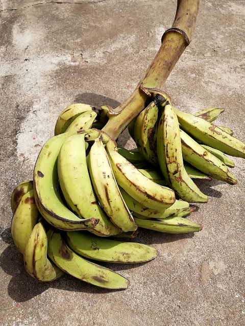 Pregnant woman stabs woman to death over bunch of plantain in Rivers State